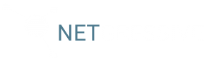 NETgressive_IT_Solutions_White_Logo_Transparent